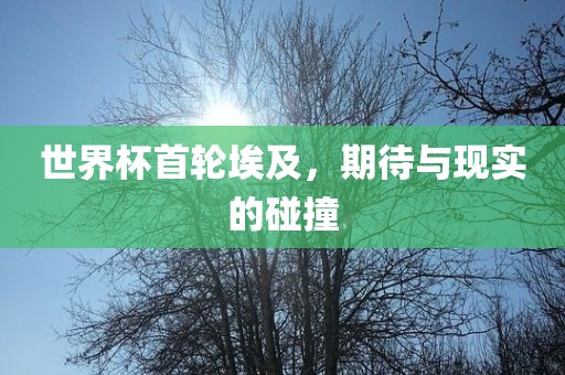 世界杯首轮埃及，眉山市正发家政服务有限公司期待与现实的碰撞