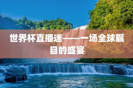 世界杯直播迷——一场全球瞩目的盛宴眉山市正发家政服务有限公司