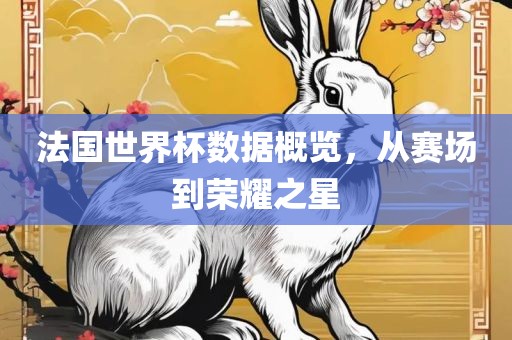 法国世界杯数据概览，从赛场到荣耀之星眉山市正发家政服务有限公司