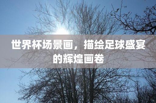 世界杯场景画，描绘足球盛宴的辉煌画卷眉山市正发家政服务有限公司