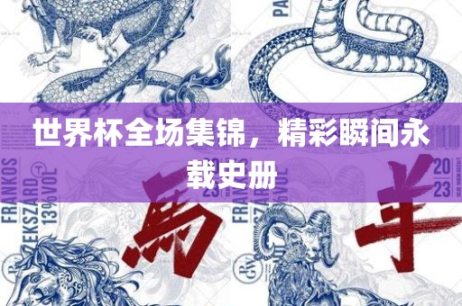 世界杯全场集锦，精彩瞬间永载史册眉山市正发家政服务有限公司