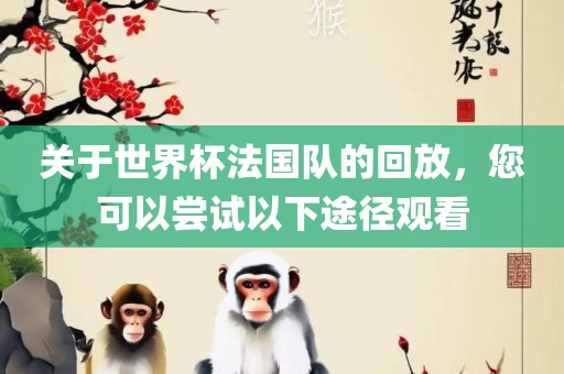 关于世界杯法国队的回放，您可以尝试以下途径观看