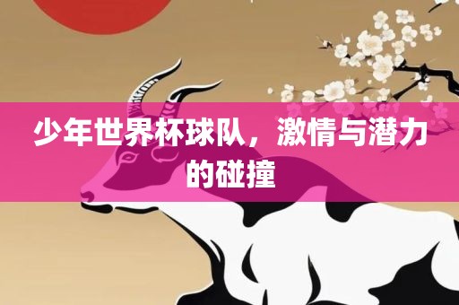 少年世界杯球队眉山市正发家政服务有限公司，激情与潜力的碰撞