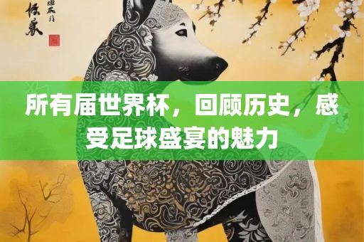 所有届世界杯，回顾历史，感受足球盛宴的魅力眉山市正发家政服务有限公司