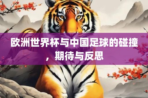 欧洲世界杯与中国足球的碰撞，期待与反思