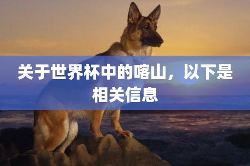 yeyaozhen 第5页