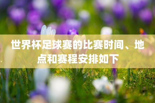 世界杯足球赛 第6页