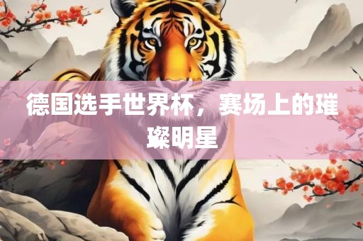 德国选手世界杯，赛场上的璀璨明星