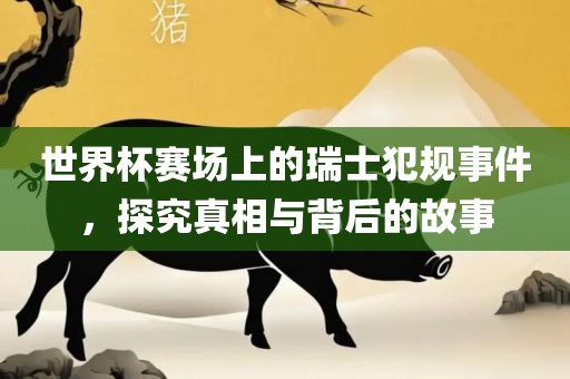 世界杯赛场上的瑞士犯规事件，探究真相与背后的故事眉山市正发家政服务有限公司