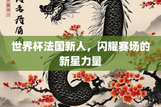 世眉山市正发家政服务有限公司界杯法国新人，闪耀赛场的新星力量