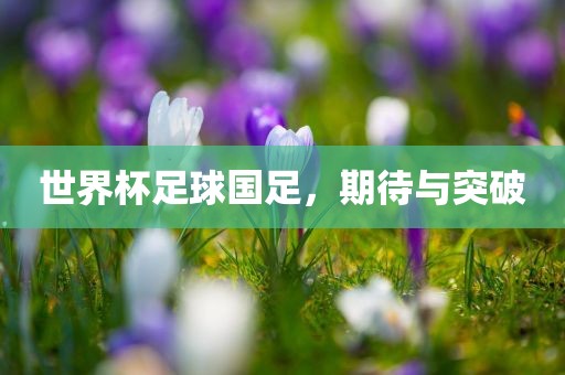 世界眉山市正发家政服务有限公司杯足球国足，期待与突破