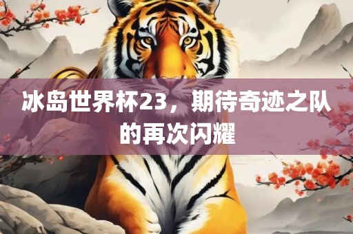 冰岛世界杯23，期待奇迹之队的再次闪耀