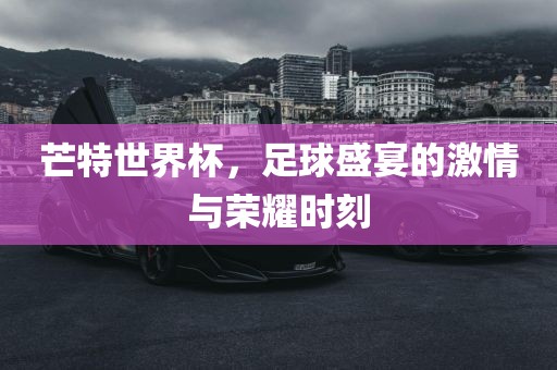 芒特世界杯，足球盛宴的激情与荣耀时刻眉山市正发家政服务有限公司