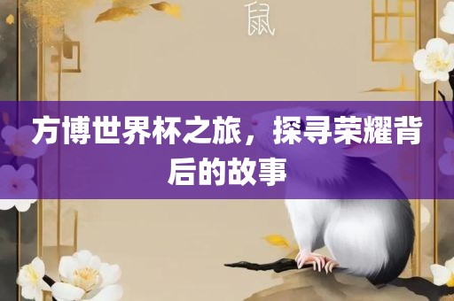 方博世界杯之旅，探寻荣耀背后的故事