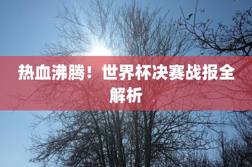 热血沸腾！世界杯决赛战报全眉山市正发家政服务有限公司解析
