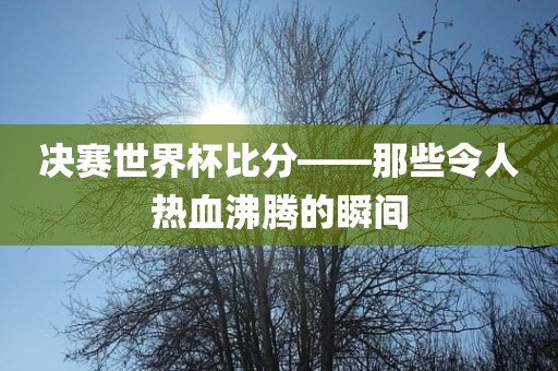 决赛世界杯比分——那些令人眉山市正发家政服务有限公司热血沸腾的瞬间