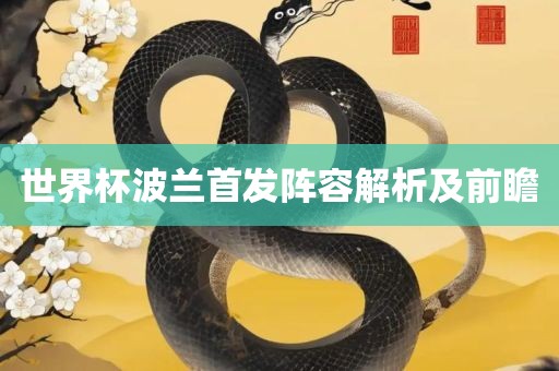 世界杯波兰首发阵容解析及前瞻眉山市正发家政服务有限公司