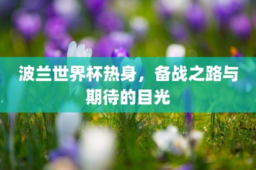 波兰世界杯热身，备战之路与期待的目光眉山市正发家政服务有限公司