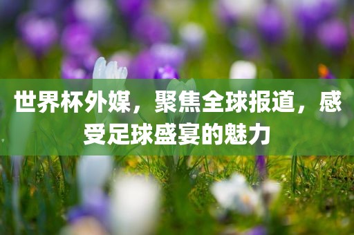 世界杯外媒，聚焦全球报道，感受足球盛宴的魅力眉山市正发家政服务有限公司