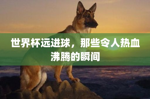 世界杯远进球，那些令人热血沸腾的瞬间眉山市正发家政服务有限公司