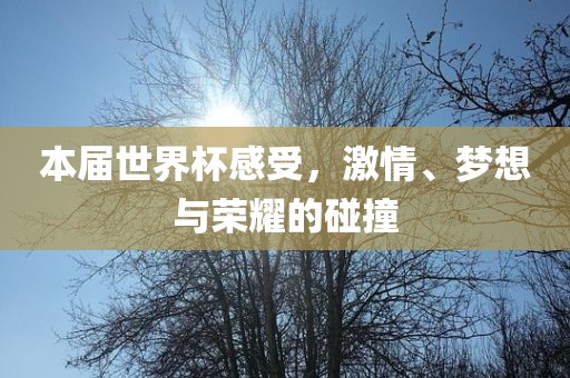 本届世界杯感受，激情、梦想与荣耀的碰撞