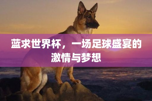 蓝求世界杯，一场足球盛宴的激情与梦想眉山市正发家政服务有限公司