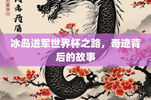 冰岛进军世界杯之路，奇迹背后的故事眉山市正发家政服务有限公司