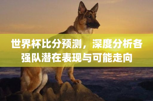 世界杯比分预测，深度分析各强队潜在表现与可能走向