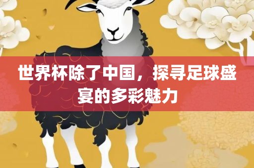世界杯除了中国，探寻足球盛宴的多彩魅力