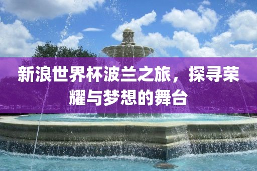 新浪世界杯波兰之旅，探寻荣耀与梦想的舞台