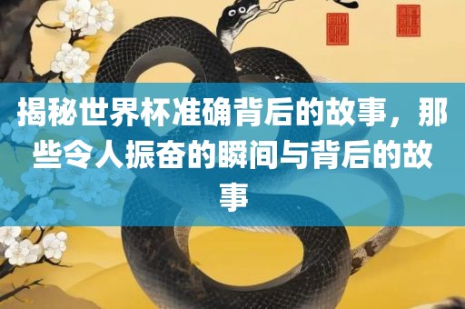 揭秘世界杯准确背后的故事，那些令人振奋的瞬间与背后的故事眉山市正发家政服务有限公司
