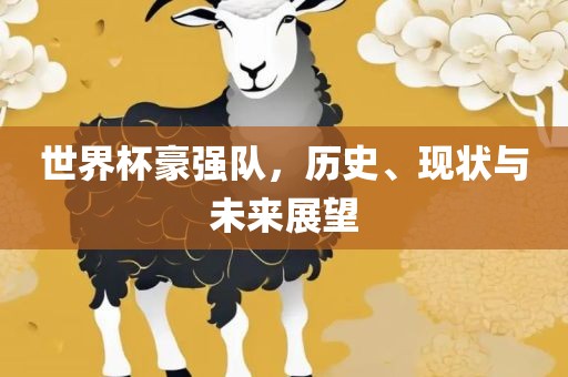 世界杯豪强队，历史、现状与未来展望眉山市正发家政服务有限公司