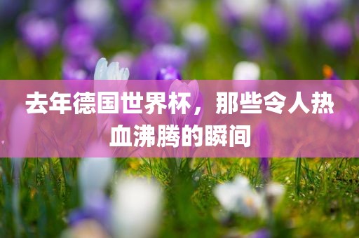 去年德国世界杯，那些令人热血沸腾的瞬间眉山市正发家政服务有限公司