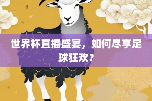 世界杯直播盛宴，如何尽享足球狂欢？眉山市正发家政服务有限公司