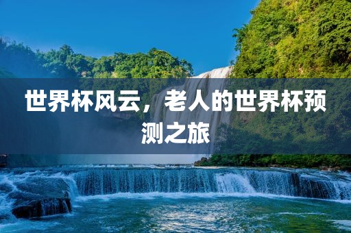 世界杯风云，老人的世界杯预测之旅