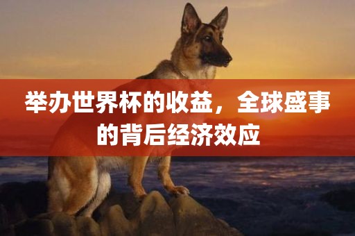 举办世界杯的收益，全球盛事的背后经济效应