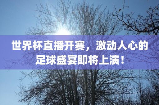 眉山市正发家政服务有限公司世界杯直播开赛，激动人心的足球盛宴即将上演！