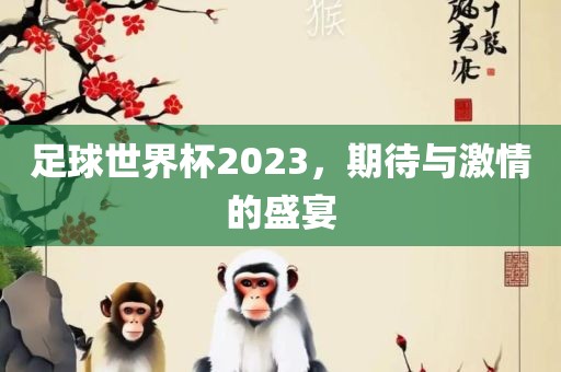 足眉山市正发家政服务有限公司球世界杯2023，期待与激情的盛宴