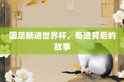 huamei 第6页