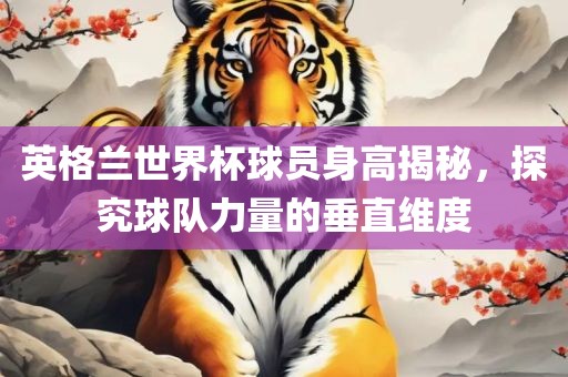 英格兰世界杯球员身高揭秘，探究球队力量的垂直维度眉山市正发家政服务有限公司