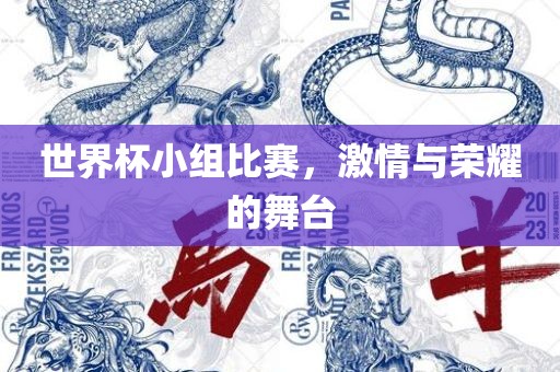 世界杯小组比赛，激情与荣耀的舞台眉山市正发家政服务有限公司