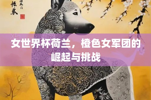 女世界杯荷兰，橙色女军团的崛起与挑战眉山市正发家政服务有限公司