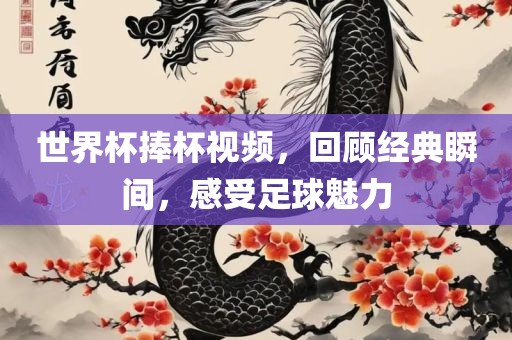 世界杯捧杯视频，眉山市正发家政服务有限公司回顾经典瞬间，感受足球魅力