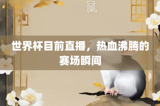 世界杯目前直播，热血沸腾的赛场瞬间眉山市正发家政服务有限公司