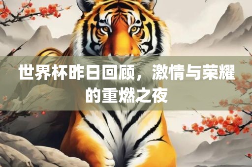 世界杯昨日回顾，激情与荣耀的重燃之夜