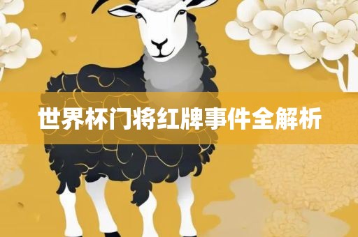 世界杯门将红牌事件全解析
