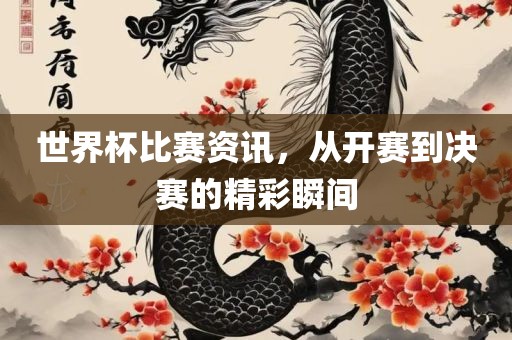 世界杯比赛资讯，从开赛到决赛的精彩瞬间眉山市正发家政服务有限公司