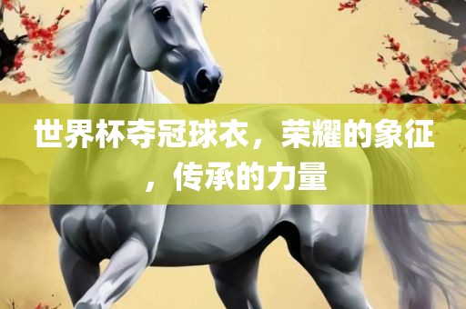 世界杯夺冠球衣，荣耀的象征，传承的力量