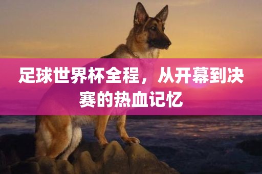 足球世界杯全程，从开幕到决赛的热血记忆