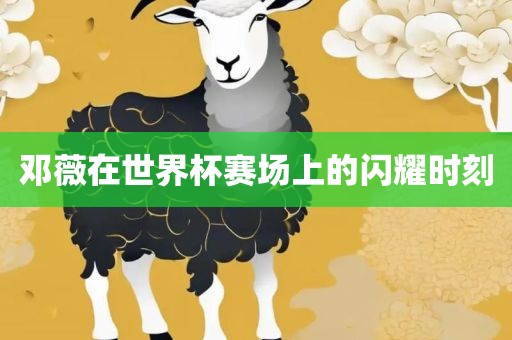 邓薇在世界杯赛场上的闪耀时刻